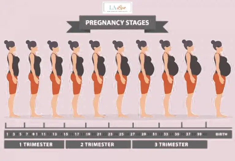 First Trimester (Weeks 1–12): Early Changes You Might Not Notice Gloucestershire